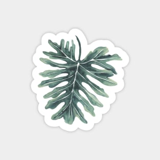 Philodendron Leaf 3 Sticker